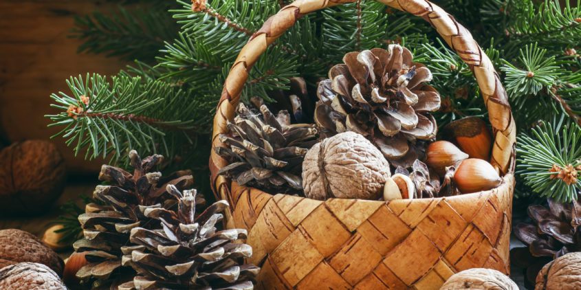 To a Healthy and Safe Holiday Season Holiday 2 845x422 - To a Healthy and Safe Holiday Season