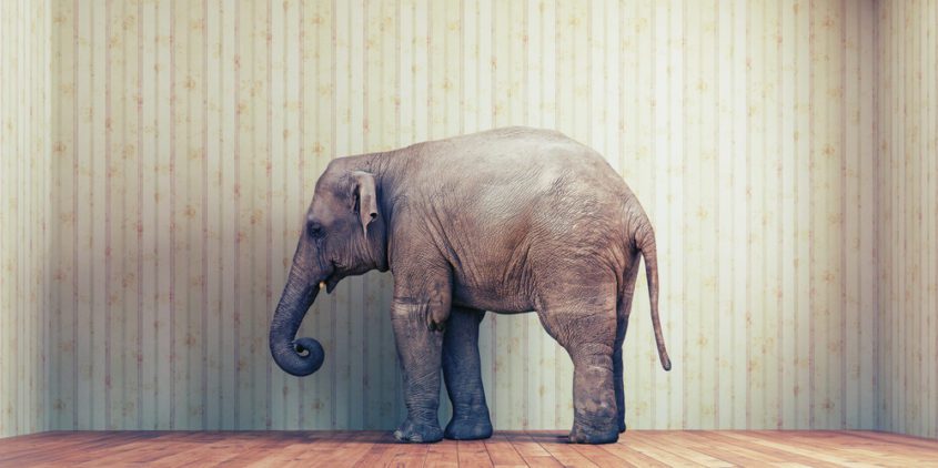 The Elephant In The Room: How To Talk To Teens About Sex The Elephant In The Room