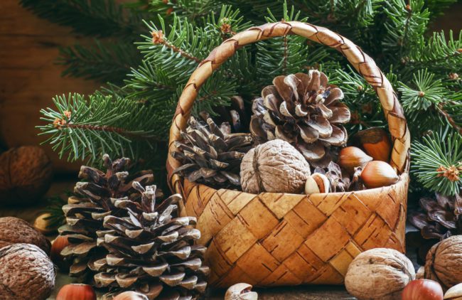 To a Healthy and Safe Holiday Season Holiday 2 650x422 - To a Healthy and Safe Holiday Season