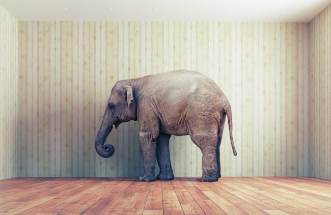 The Elephant In The Room: How To Talk To Teens About Sex The Elephant In The Room