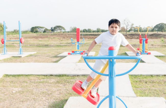 How Childhood Obesity can be Prevented and Treated with a Pediatric-Focused EHR Platform Childhood obesity